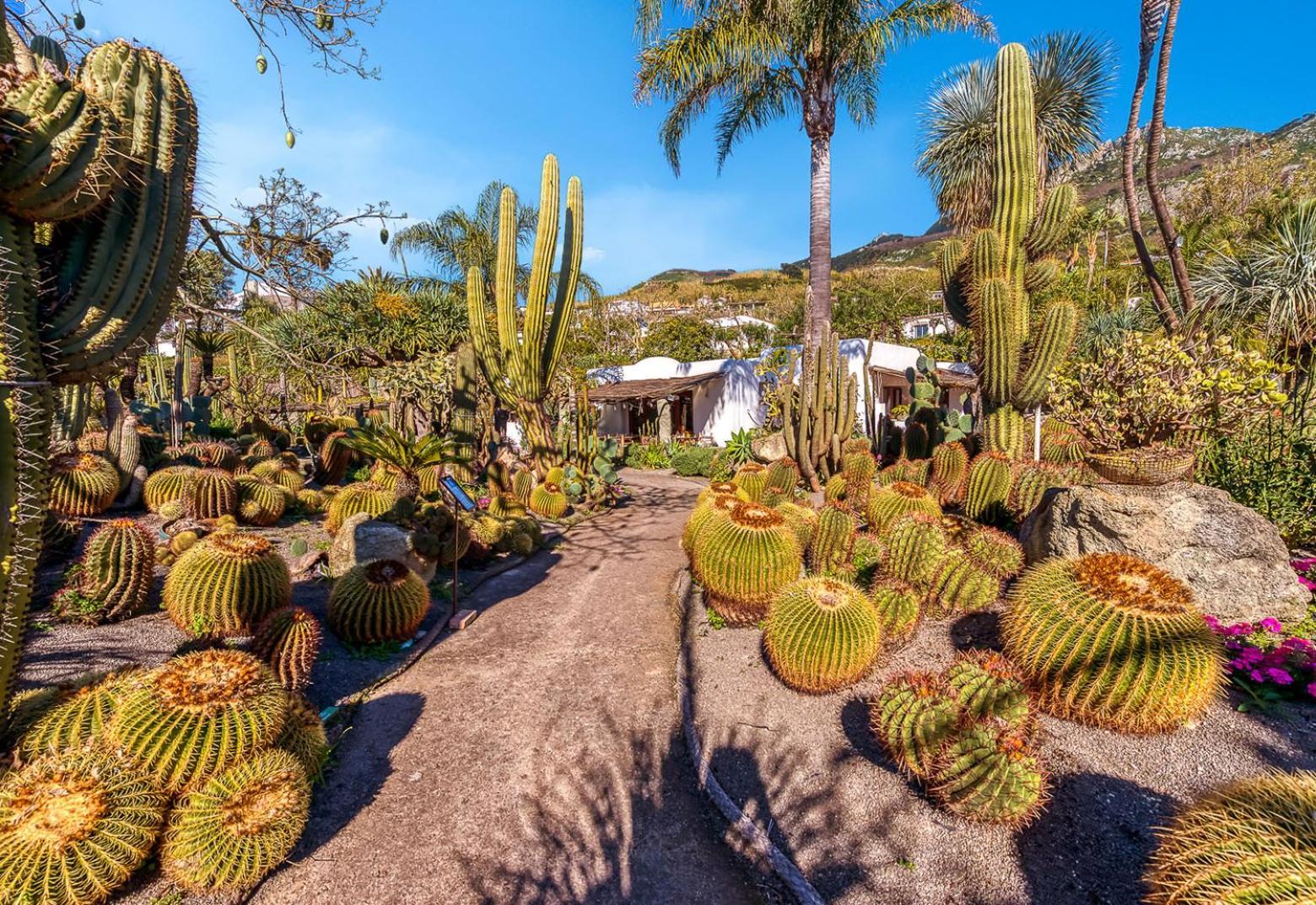 Villa Ravino Secret Retreat Forio di Ischia Kültér fotó