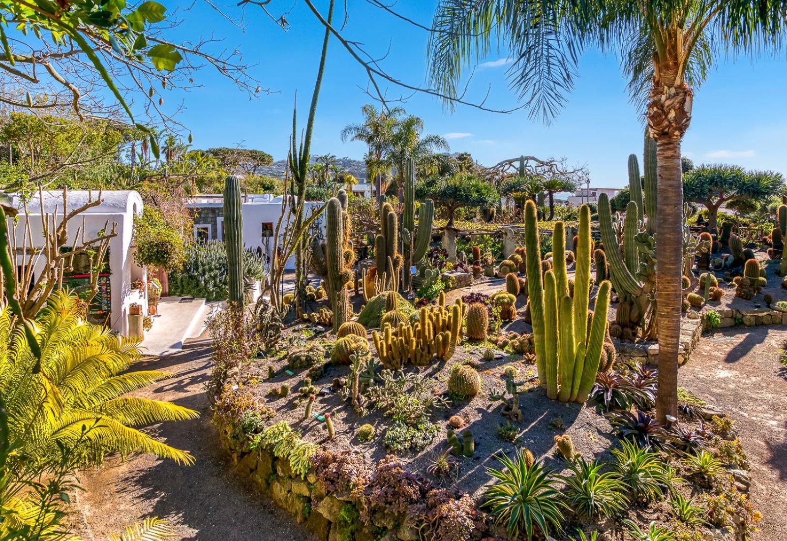 Villa Ravino Secret Retreat Forio di Ischia Kültér fotó